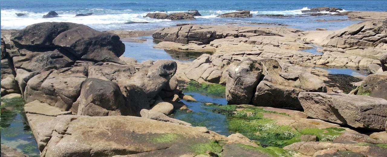 Varandas Da Sandia Vila Praia de Âncora Eksteriør bilde